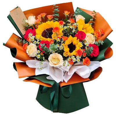 Ȫ�ݵ»��ػ���